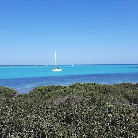 Villa Casa Ethno Stintino-private Pool *