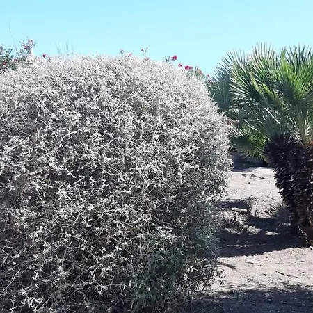 Villa Casa Ethno Stintino-private Pool