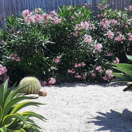 Casa Ethno Stintino-private Pool